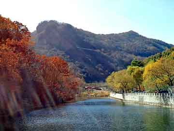 新澳天天开奖资料大全旅游团，飘柔洗发水配方